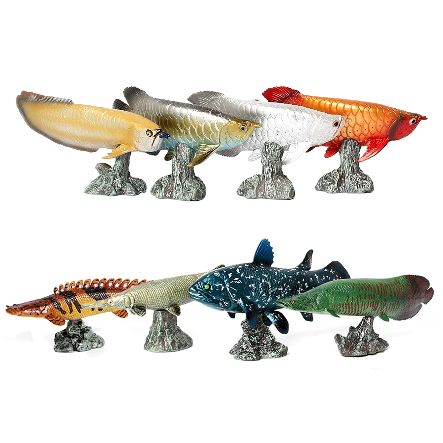 Kids Toys Reviews - アロワナ ピラルク コエラカンサス ビチル アリゲーター魚モデル海洋動物アクションフィギュア子供のための収集価値のあるおもちゃ教育ギフト