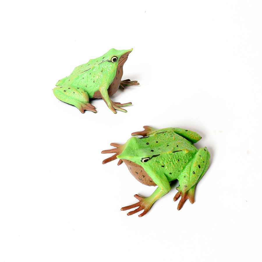子供のための虹の森の動物のアクションフィギュア,カエル,木の - Kids Toys Reviews のレビューと価格