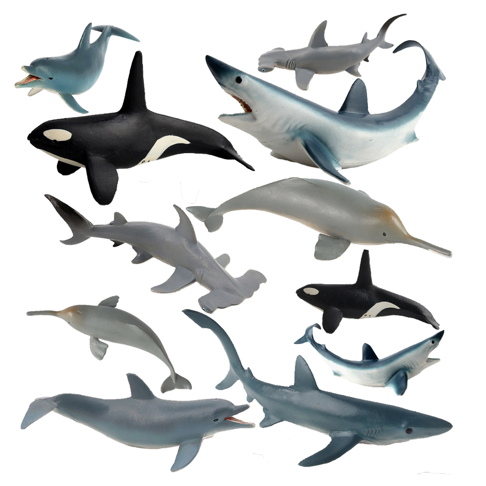 絶滅危惧種の海洋動物の置物キラー サメ シャチ ベルーガ ク - Kids Toys Reviews のレビューと価格