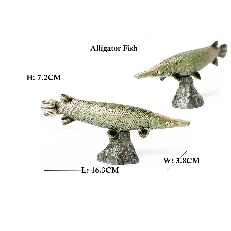 アロワナ ピラルク コエラカンサス ビチル アリゲーター魚モ - Kids Toys Reviews のレビューと価格